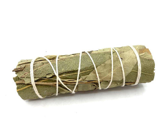 Antorcha de Salvia Blanca y Eucalipto – Purificación y Renovación de Energías